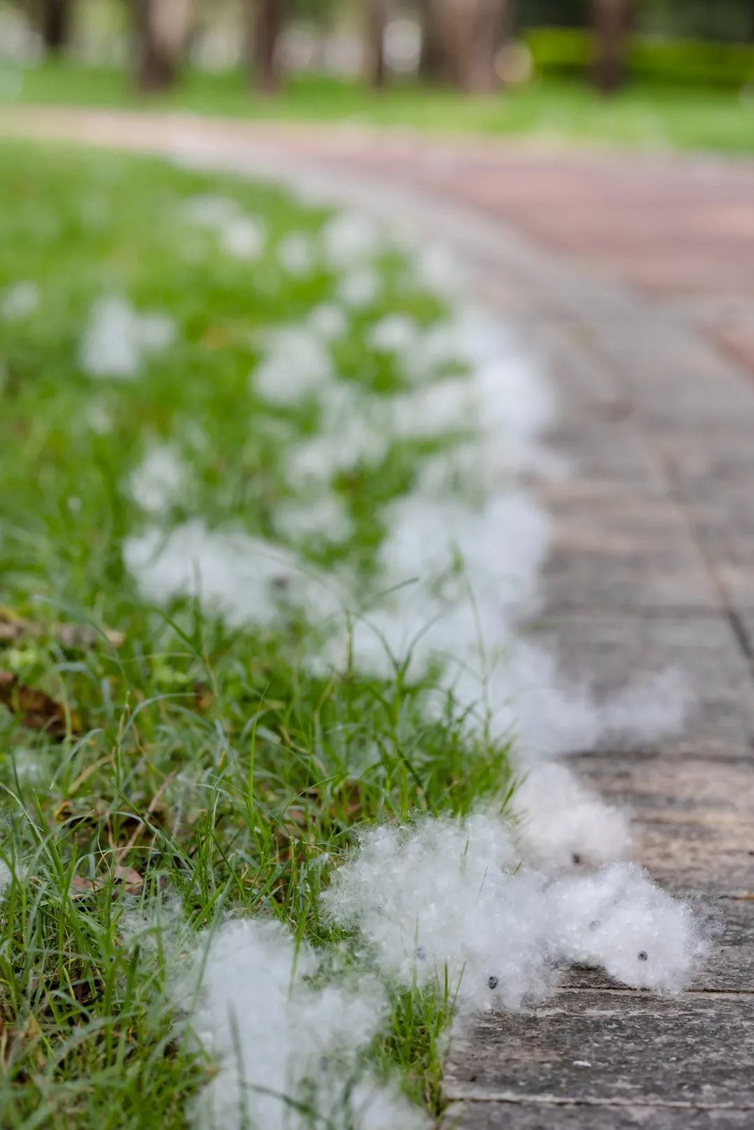 戴口罩,戴口罩!易感人群近期请注意 戴口罩,戴口罩!易感人群近期请注意