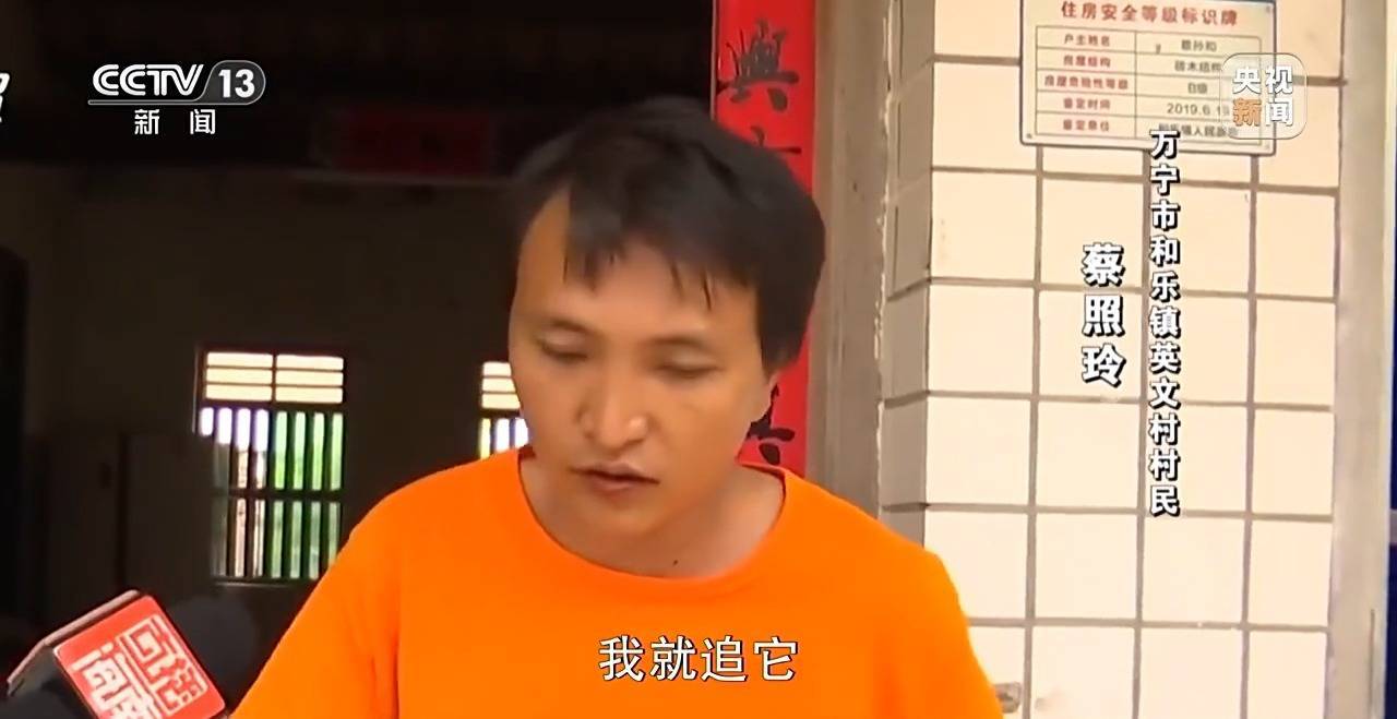 调查:海南万宁猕猴伤9人仍在逃,这群猴为何集群而来又伤人? 调查:海南万宁猕猴伤9人仍在逃,这群猴为何集群而来又伤人?