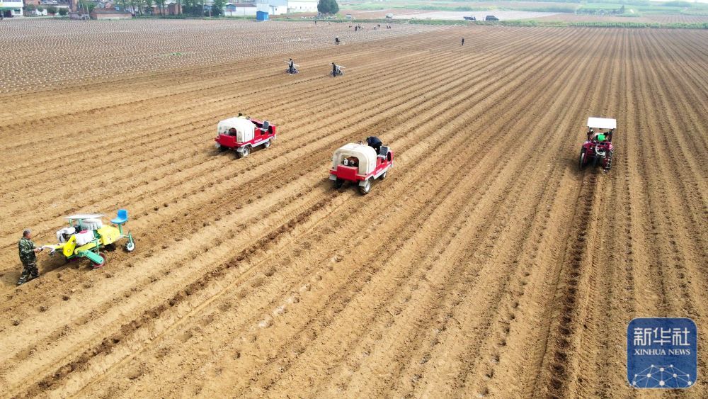 暮春风来暖 田间勤耕耘