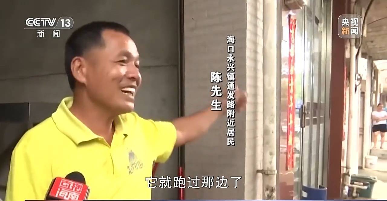 调查:海南万宁猕猴伤9人仍在逃,这群猴为何集群而来又伤人? 调查:海南万宁猕猴伤9人仍在逃,这群猴为何集群而来又伤人?