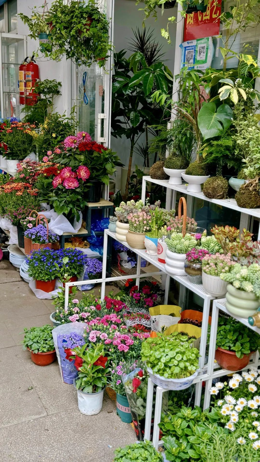 太壕了！浙江人的阳台被曝光！网友：这才是大户人家