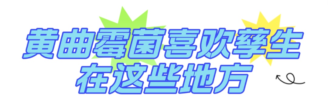 1毫克即致癌！这个“祸害”身边随处可见......