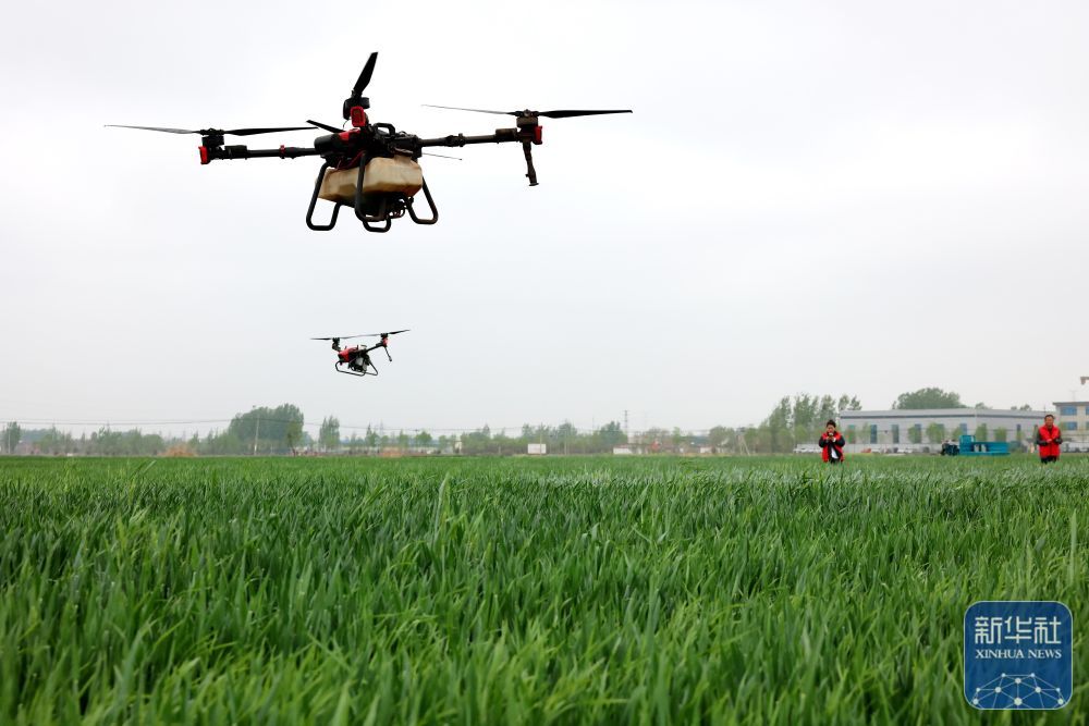 暮春风来暖 田间勤耕耘