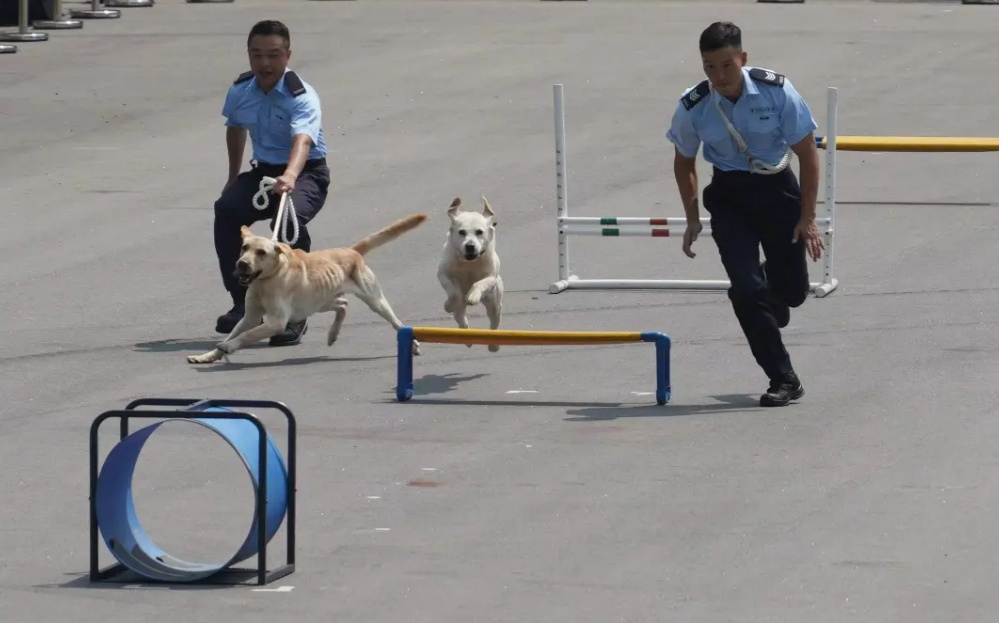 场面震感！飞虎队、反恐特勤队、飞行服务队齐上阵