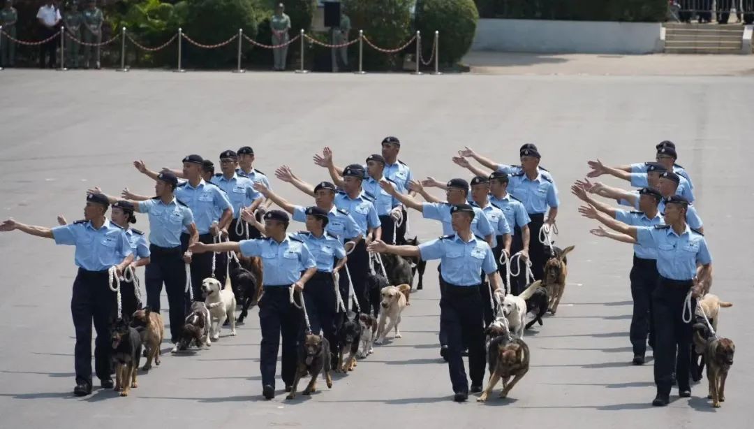 场面震感！飞虎队、反恐特勤队、飞行服务队齐上阵