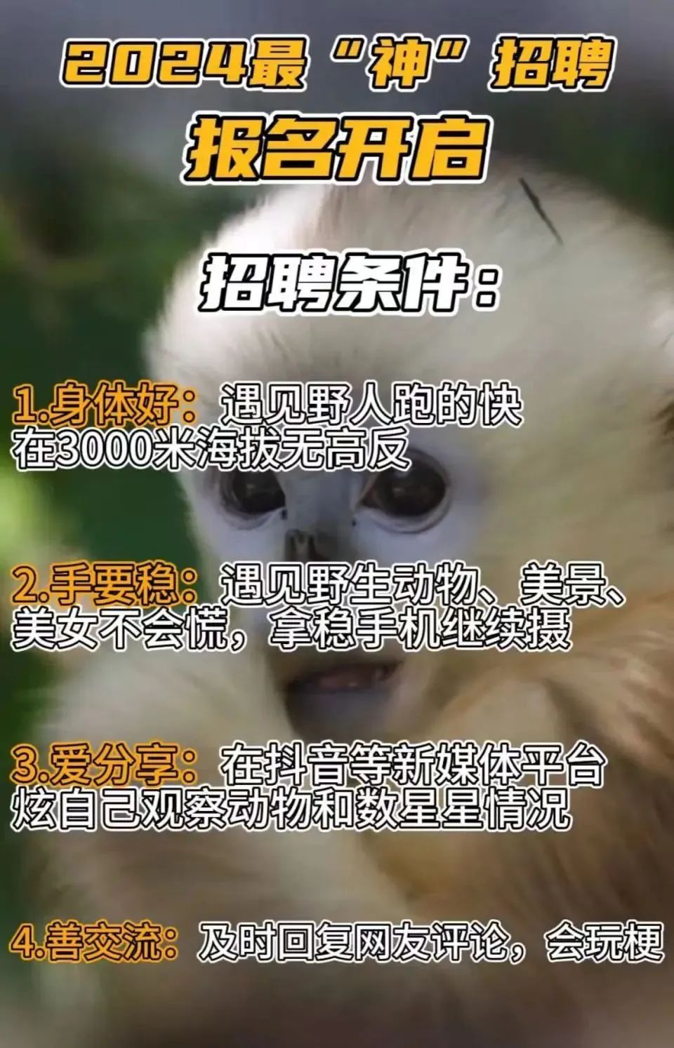 月薪6千，要求“身体好，遇见野人跑得快”！著名景区招聘引热议，官方回应→
