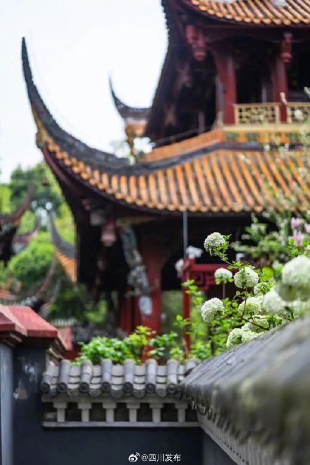 武侯祠之外,成都又一处超美红墙! 武侯祠之外,成都又一处超美红墙!