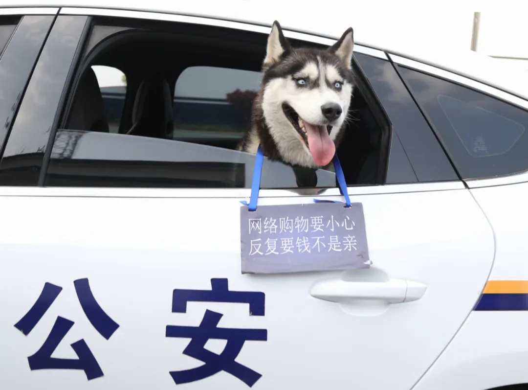 我可没在派出所吃“闲饭”！