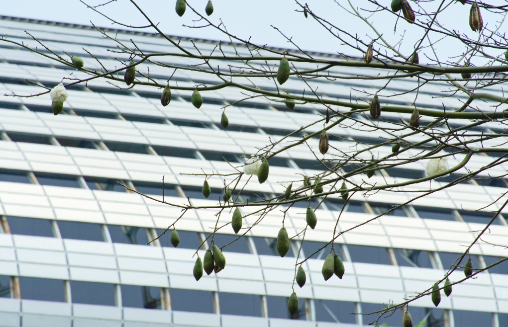 戴口罩,戴口罩!易感人群近期请注意 戴口罩,戴口罩!易感人群近期请注意