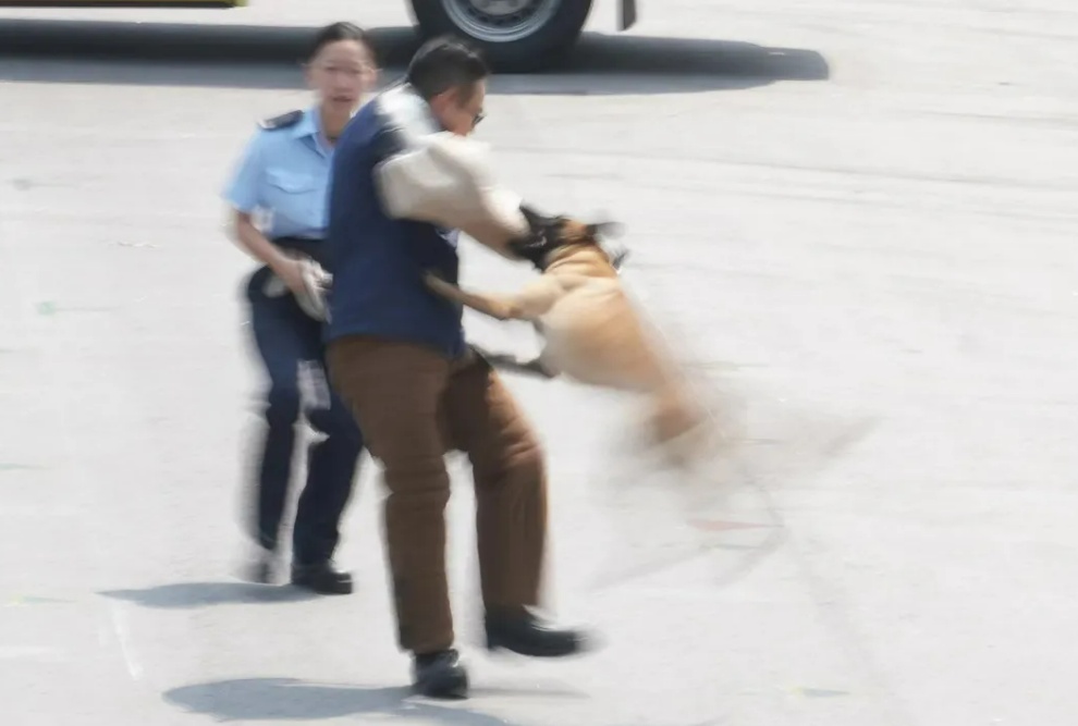 场面震感！飞虎队、反恐特勤队、飞行服务队齐上阵