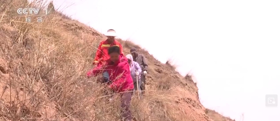 与恶劣环境“硬碰硬” 高原上的“播种者”植树“添”绿让荒地变绿荫