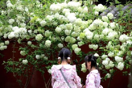 武侯祠之外,成都又一处超美红墙! 武侯祠之外,成都又一处超美红墙!