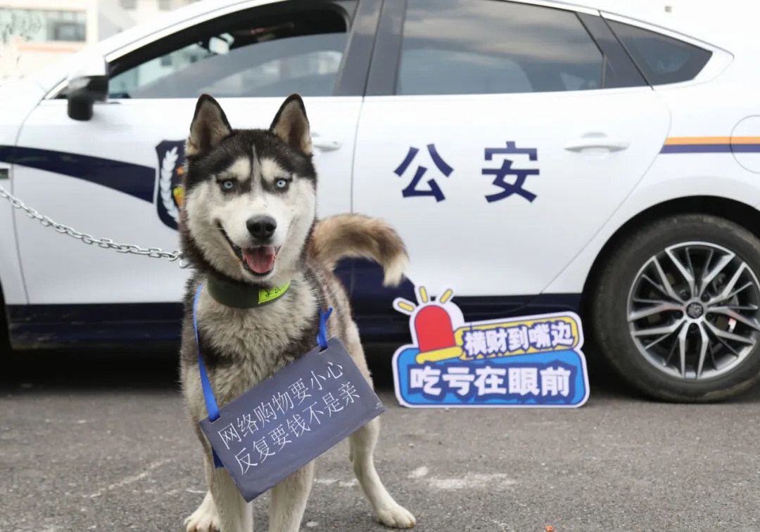 我可没在派出所吃“闲饭”！