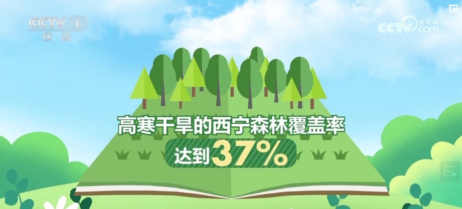 与恶劣环境“硬碰硬” 高原上的“播种者”植树“添”绿让荒地变绿荫