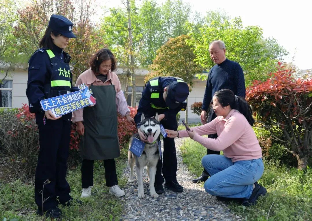 二哈也要当警犬？请“扫码摸狗”→