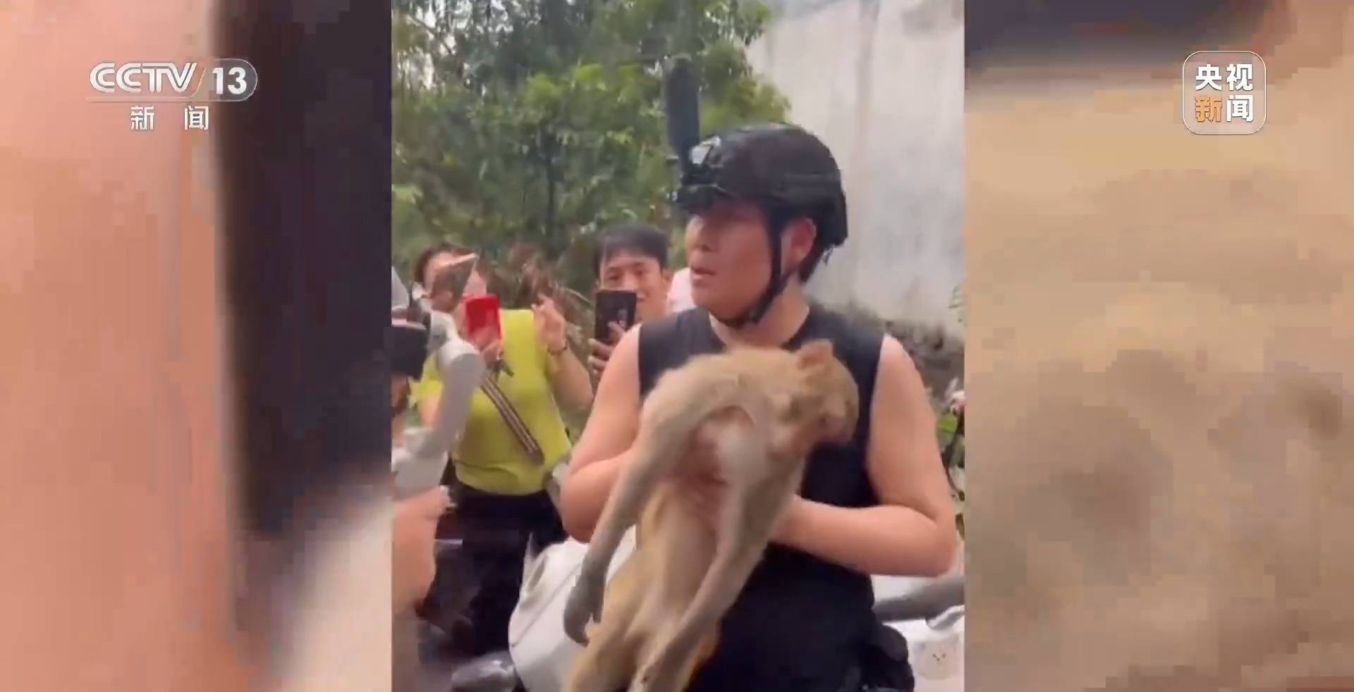 调查:海南万宁猕猴伤9人仍在逃,这群猴为何集群而来又伤人? 调查:海南万宁猕猴伤9人仍在逃,这群猴为何集群而来又伤人?