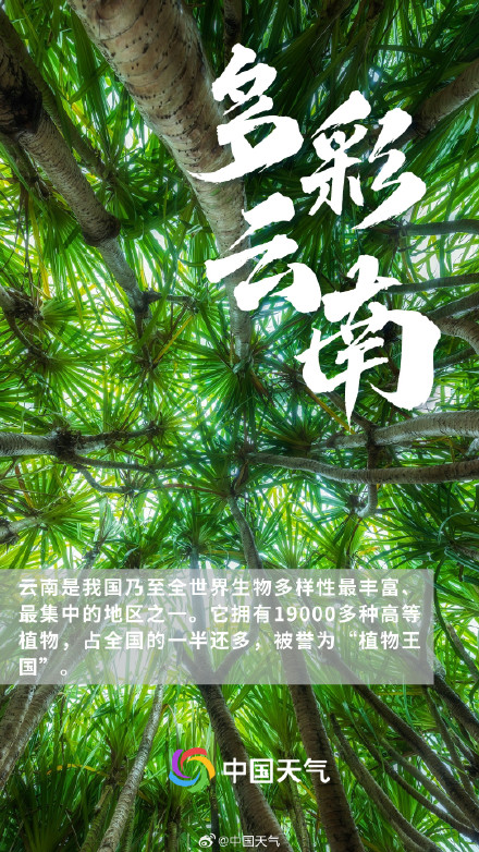 多彩云南,可不止泼水节! 多彩云南,可不止泼水节!