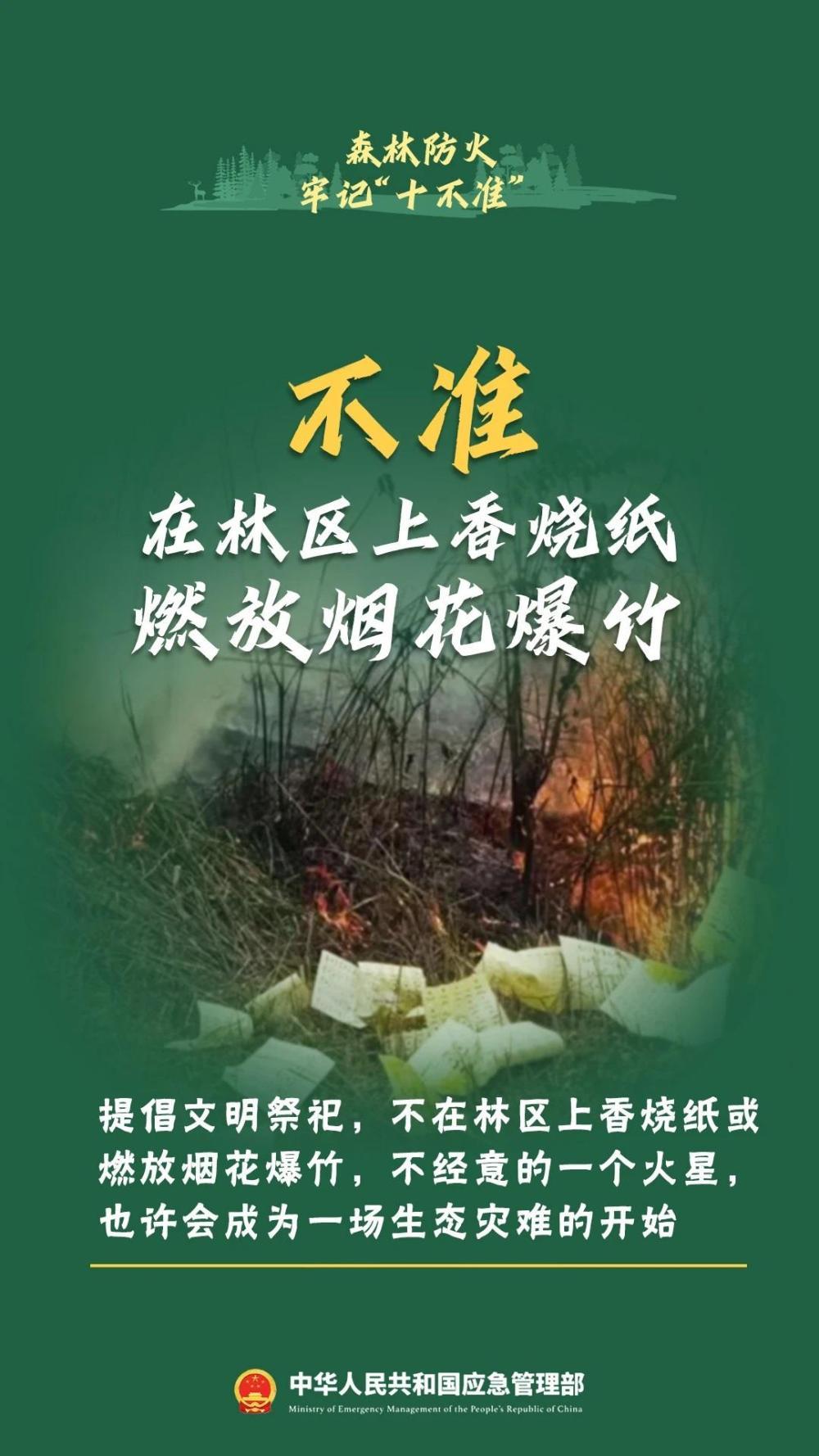 违规野外用火危害大！森林防火“十不准”一定要牢记