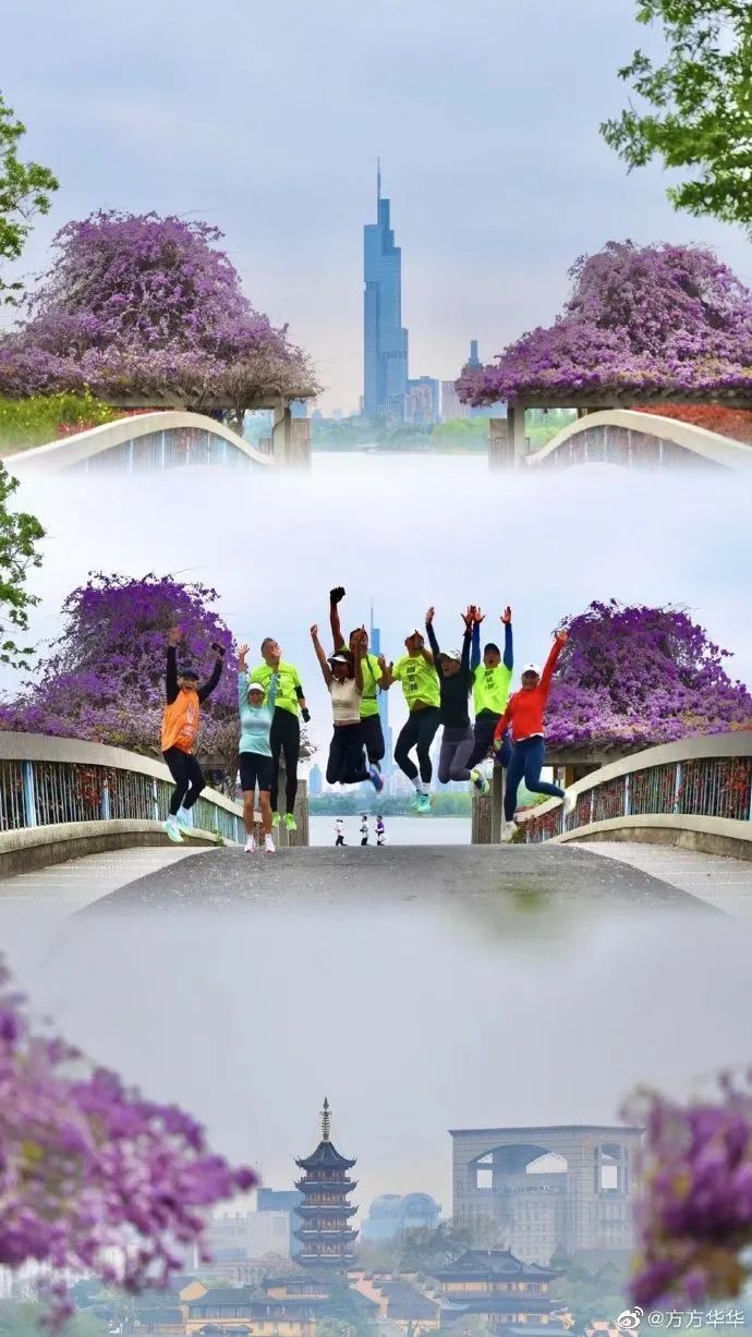 南京,绝绝紫! 南京,绝绝紫!