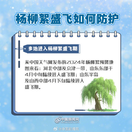 多地进入杨柳絮盛飞期