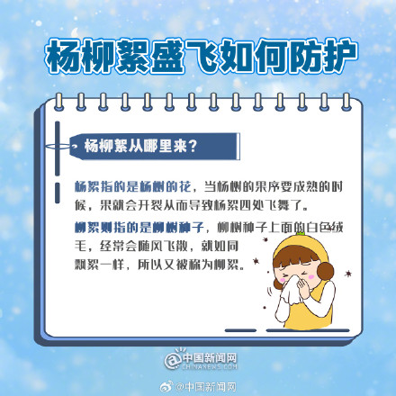多地进入杨柳絮盛飞期