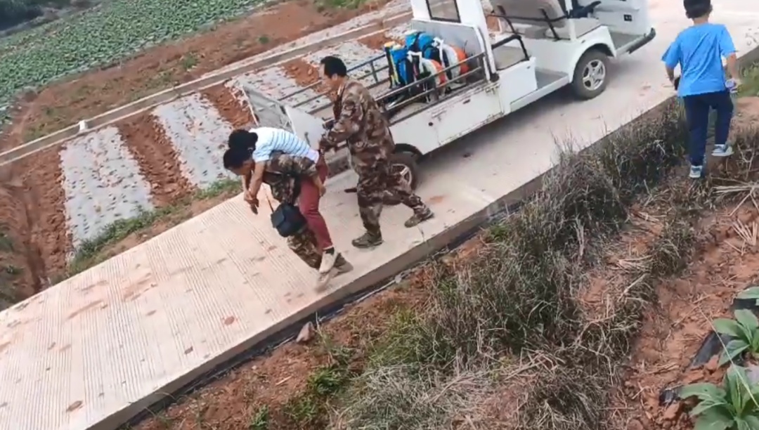 大量入侵,被叮咬可致命!广东已有人中招…… 大量入侵,被叮咬可致命!广东已有人中招……