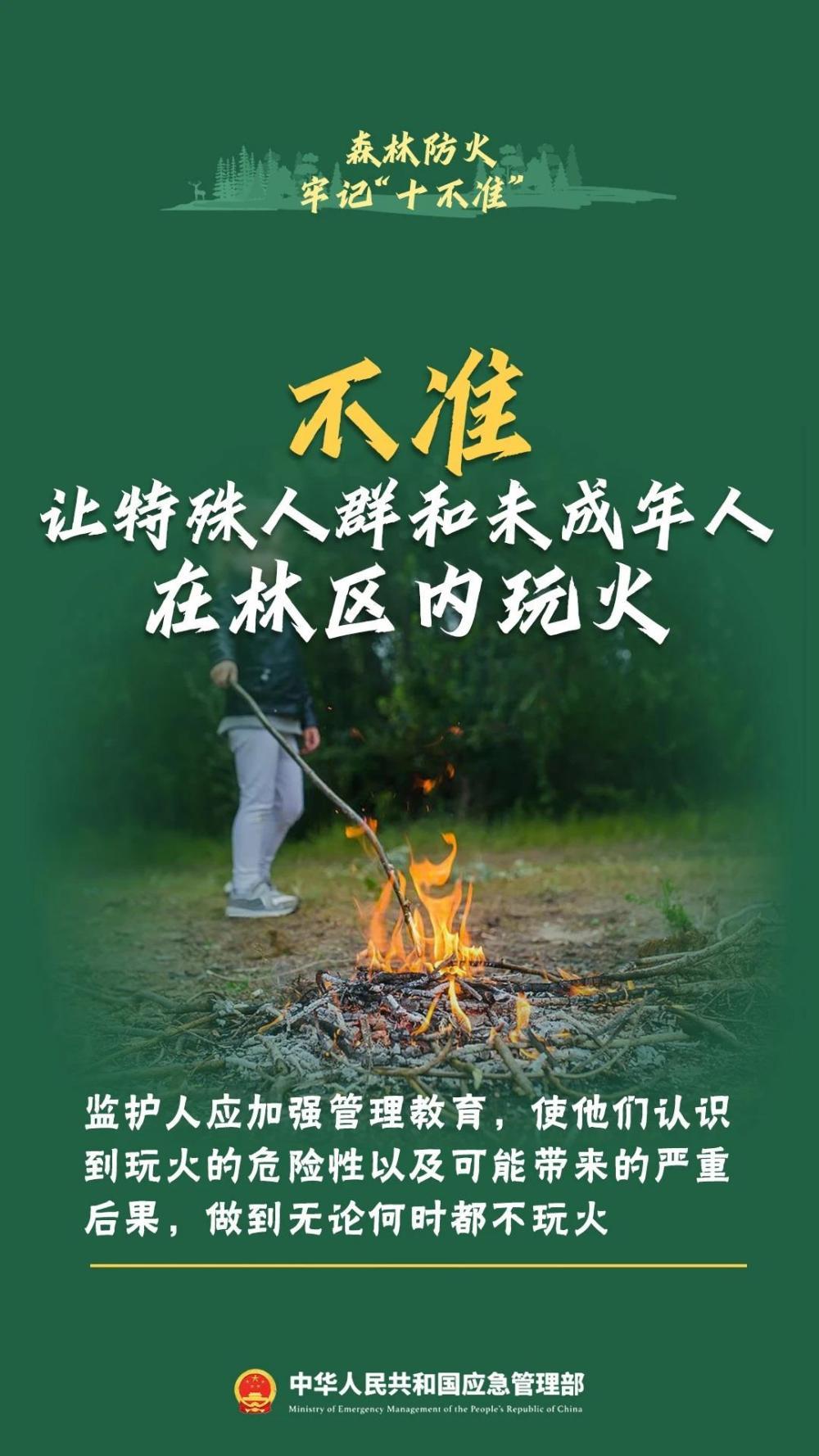 违规野外用火危害大！森林防火“十不准”一定要牢记