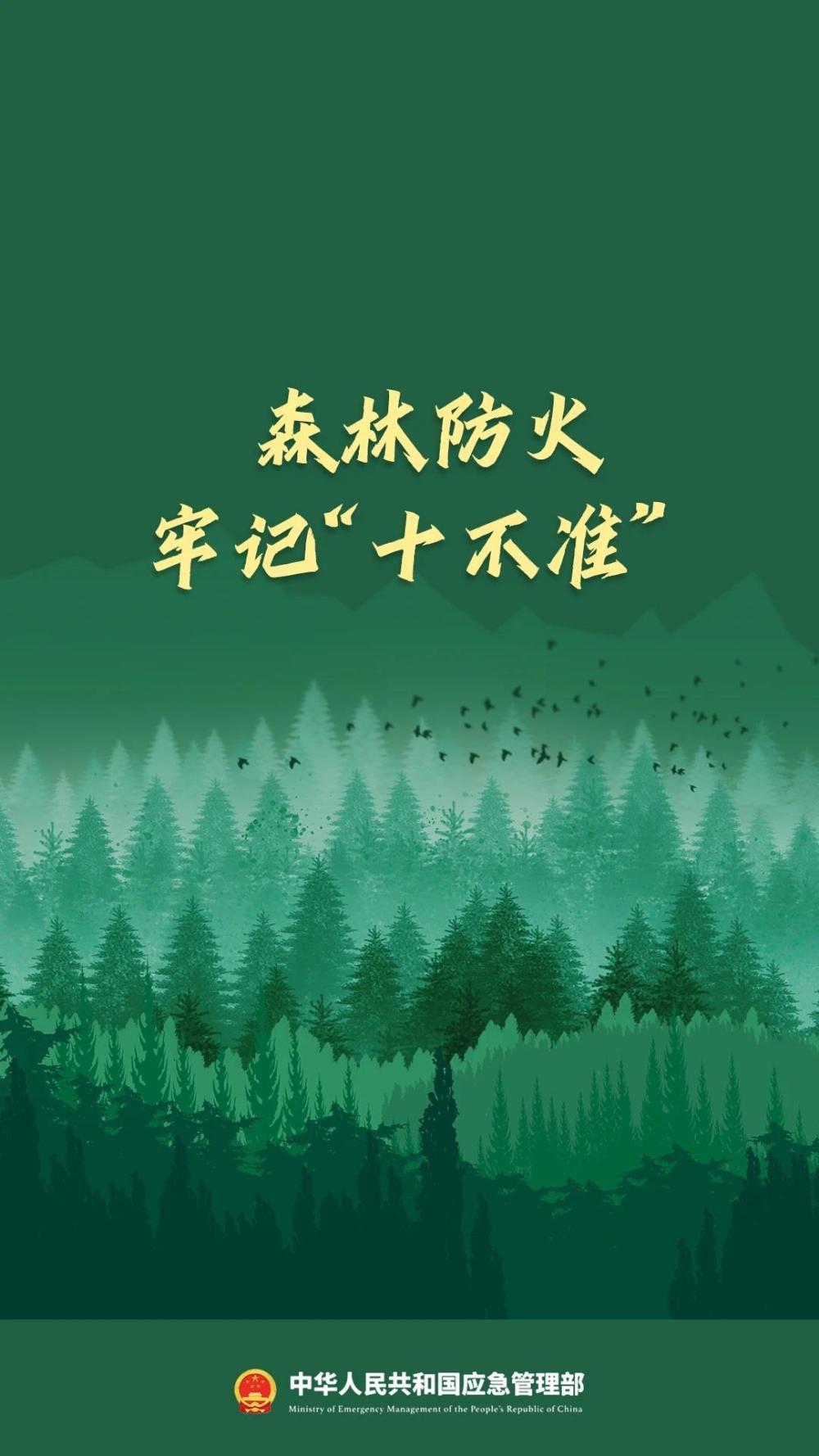 违规野外用火危害大！森林防火“十不准”一定要牢记