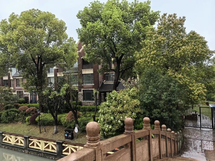 夜半高歌、凌晨4点吹响萨克斯……上海公园24小时开放，周边居民发愁：怎么管？