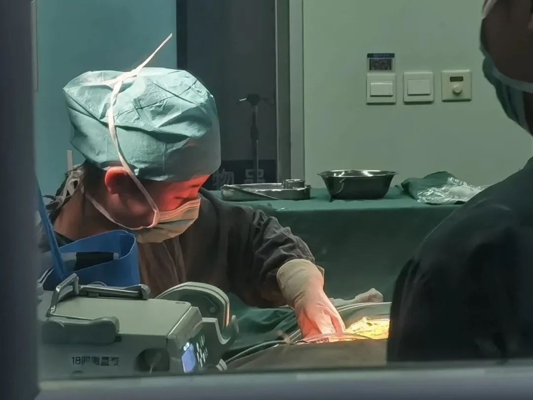 双胞胎姐妹，相逢在北大！