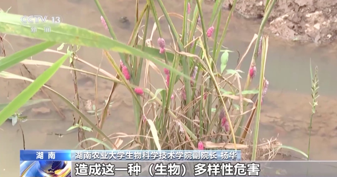 这个“爱好”，可能危害国家安全！