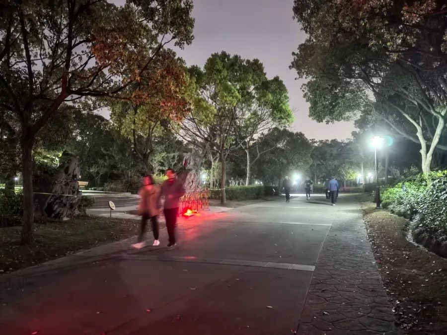 上海市民报警:半夜有人高歌,凌晨4点还有吹萨克斯的!公园24小时开放后,投诉增多 上海市民报警:半夜有人高歌,凌晨4点还有吹萨克斯的!公园24小时开放后,投诉增多