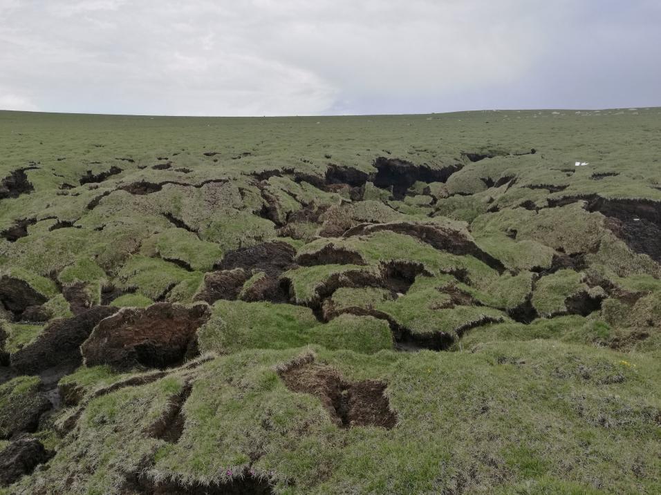 上海科学家取得冻土碳循环研究重要进展