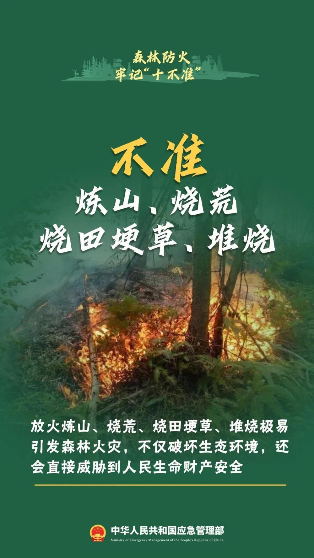 违规野外用火危害大！森林防火“十不准”一定要牢记