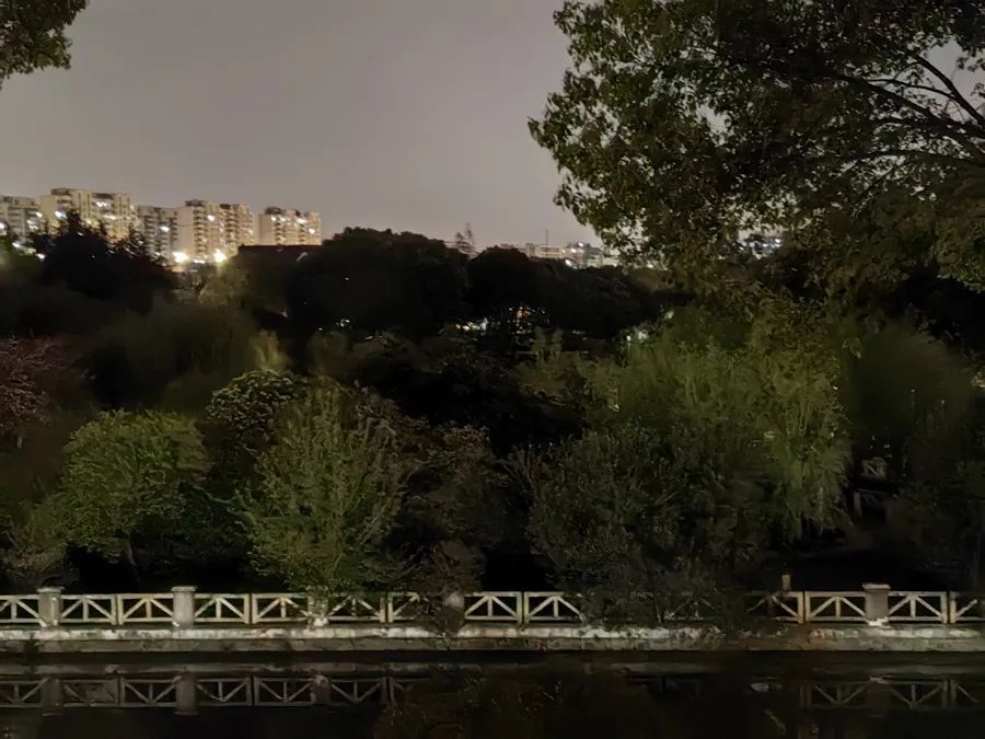 夜半高歌、凌晨4点吹响萨克斯……上海公园24小时开放，周边居民发愁：怎么管？