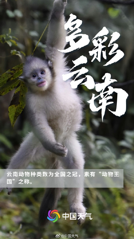 多彩云南,可不止泼水节! 多彩云南,可不止泼水节!