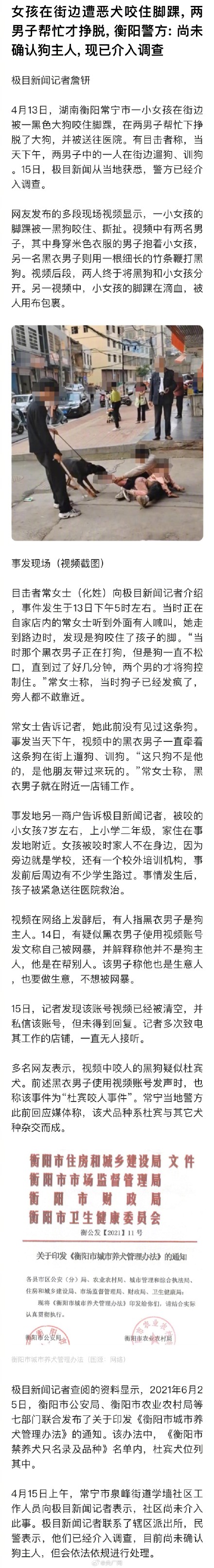 衡阳警方称撕咬女孩恶犬的主人未确认 衡阳警方称撕咬女孩恶犬的主人未确认