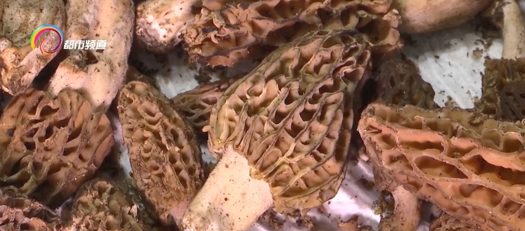每公斤200多元！很多人爱吃的这种野生菌降价了