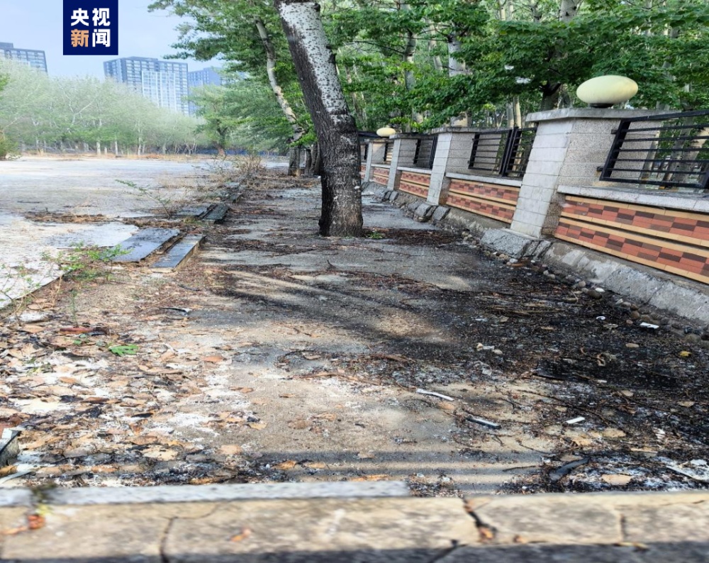 毛毛毛来袭!千万别去惹“火”它 毛毛毛来袭!千万别去惹“火”它