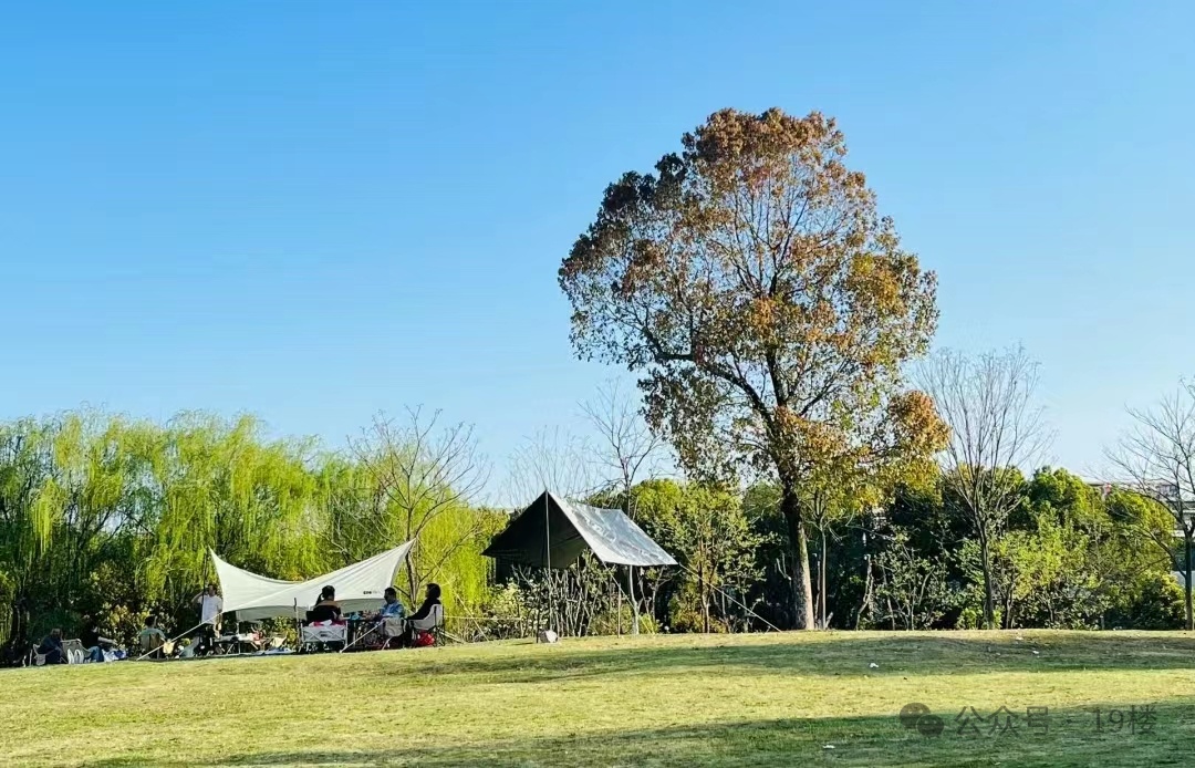 订单已排到10月！杭州有人为此3年花了6万