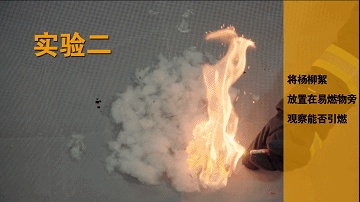 毛毛毛来袭!千万别去惹“火”它 毛毛毛来袭!千万别去惹“火”它