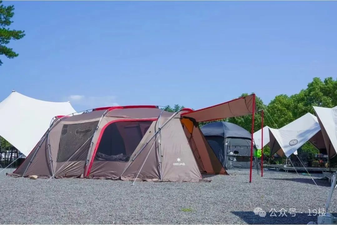 订单已排到10月！杭州有人为此3年花了6万