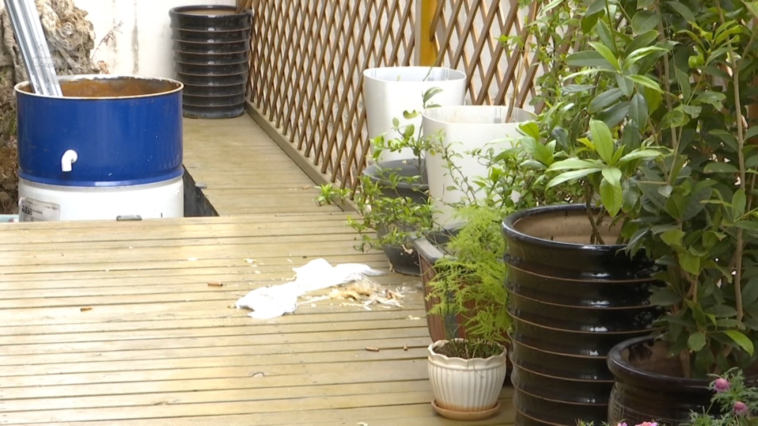 太恶心！小区有人多次高空抛“污”，监控拍下全过程