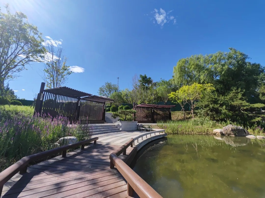 海淀北部再添滨水公园!实拍—— 海淀北部再添滨水公园!实拍——