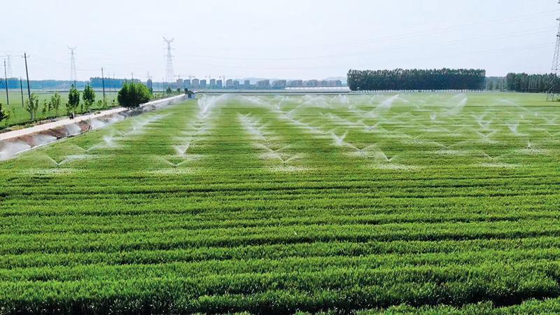 科技春耕的“三良”推广图 科技春耕的“三良”推广图