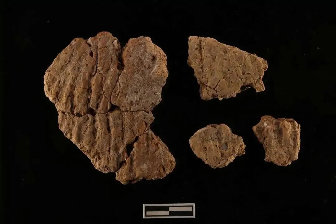 距今三四万年!柳州重大考古发现,比肩北京周口店,位置就在→ 距今三四万年!柳州重大考古发现,比肩北京周口店,位置就在→