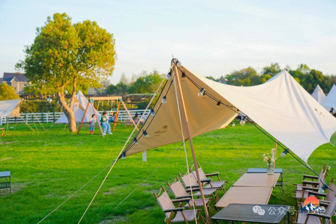 订单已排到10月！杭州有人为此3年花了6万