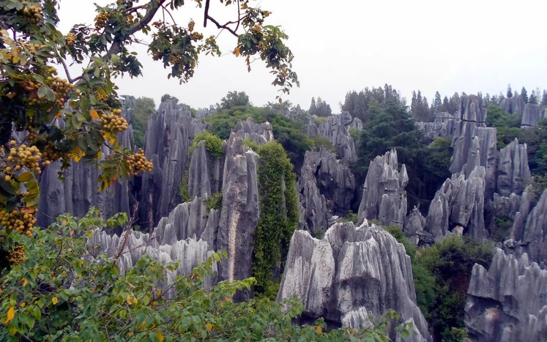 探秘地球宝藏的世界地质公园,你Get了吗? 探秘地球宝藏的世界地质公园,你Get了吗?