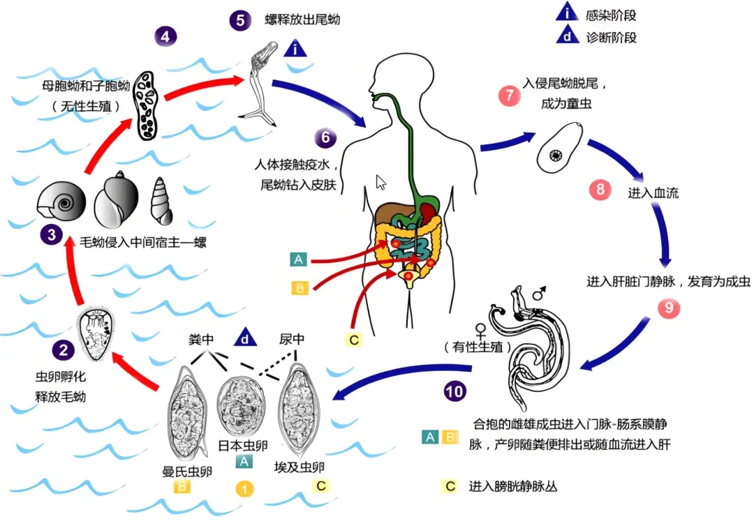 警惕！接触10秒即可被感染！外出时千万注意……