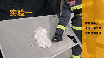 毛毛毛来袭!千万别去惹“火”它 毛毛毛来袭!千万别去惹“火”它